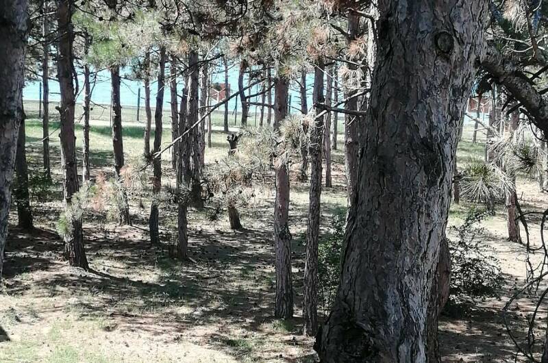 Номер 26 «Комфорт»