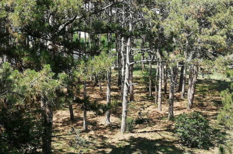 Номер 26 «Комфорт»