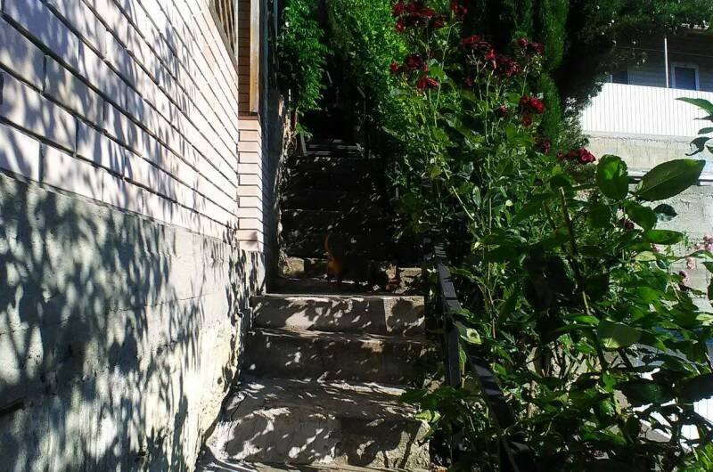 Эконом с кондиционером