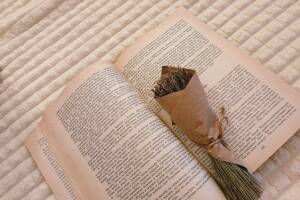 Изображение Изображение гостиницы "Отель «Леонидас»" #5 #5