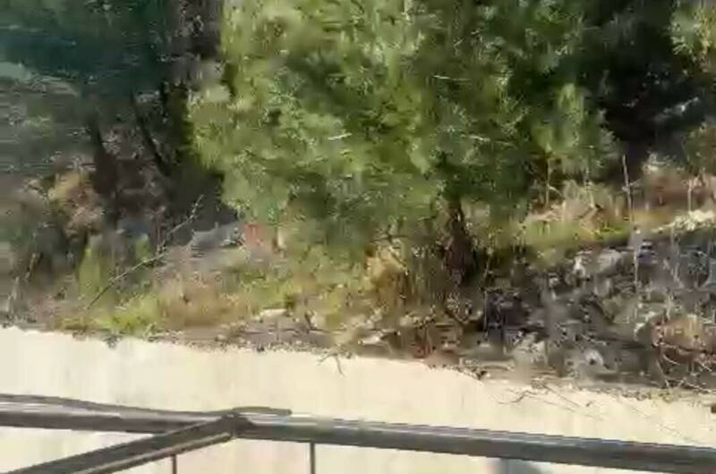 Двухместный номер с балконом вид на лес