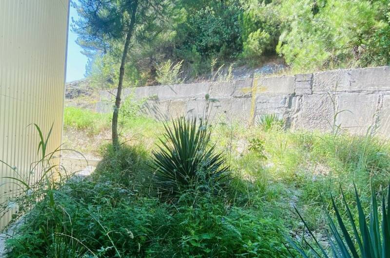 Двухместный номер с маленьким балконом, вид на лес