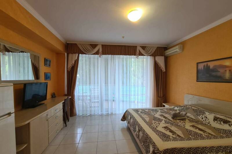 Двухместный номер с 1 кроватью и балконом