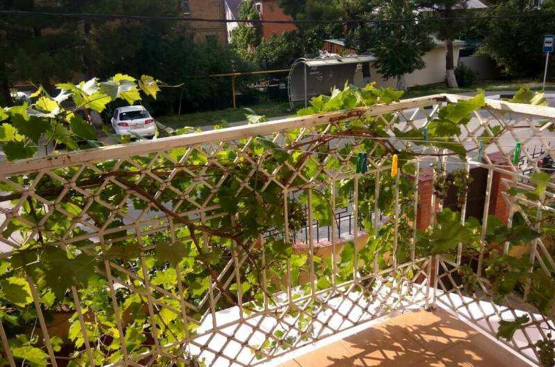 № 4 Четырех местный с балконом (2 этаж)