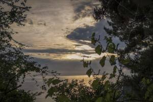 Изображение Изображение гостиницы "База отдыха «Сосновый бор»" #2 #2