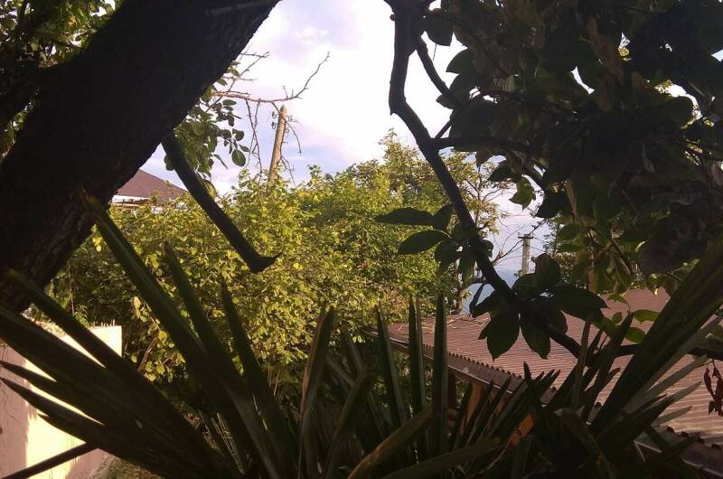 3-х мест. с удобств. Кухня в номере. Вид на море