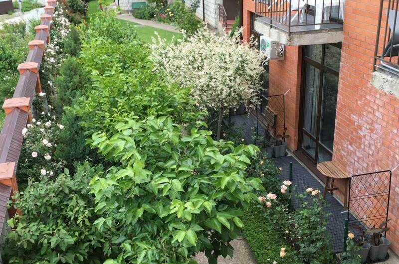 Номер «Люкс»