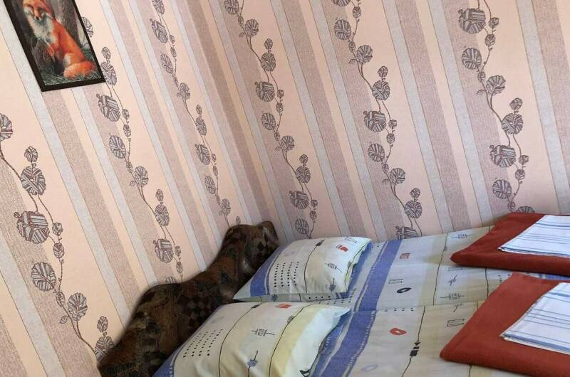 Двухместный эконом