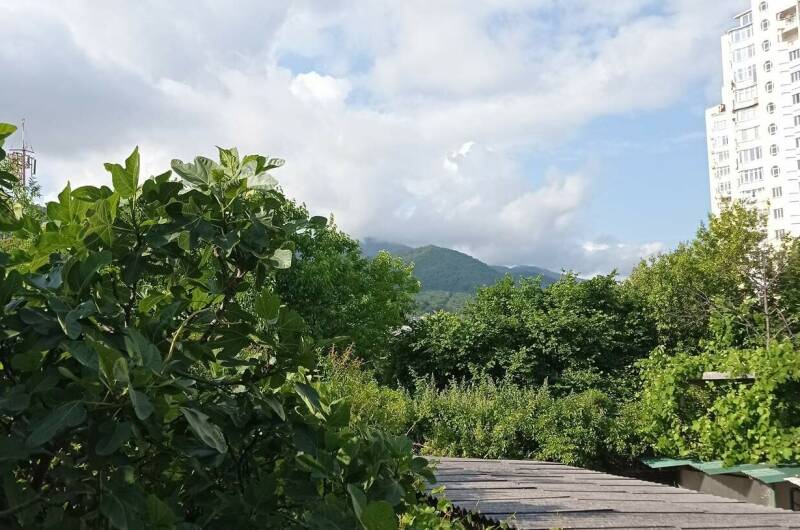 № 4 «Эконом»