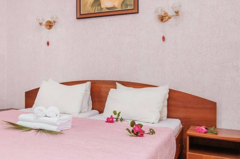 Стандартный двухместный номер с душем и туалетом