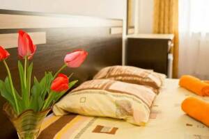 Изображение Изображение гостиницы "Гостевой дом «Александр Великий»" #1 #1