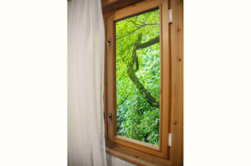 Двухместный «Эконом»