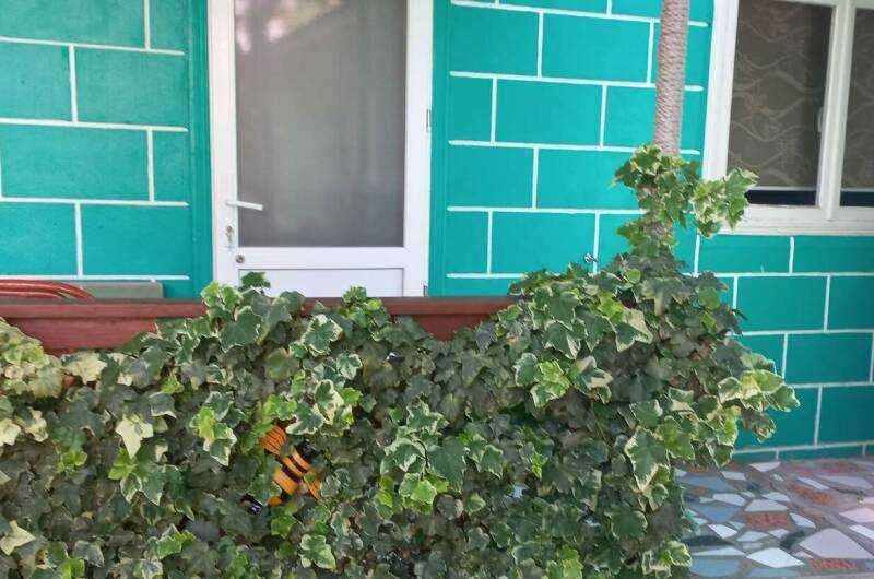 Однокомнатный дальний «Семейный»