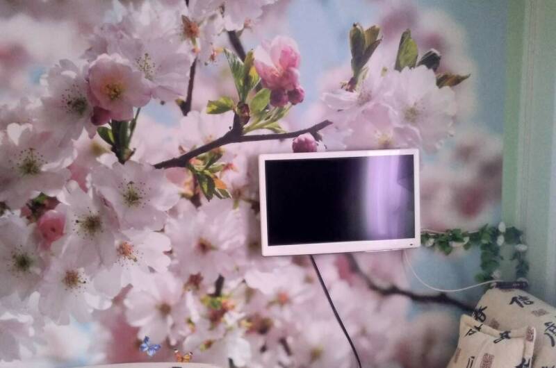 Однокомнатный семейный «Весна»