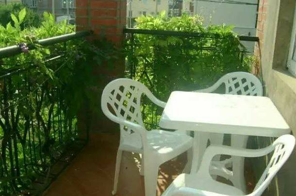 Двухкомнатный с удобствами на этаже (Зеленый)