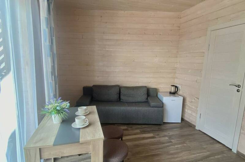 Стандарт № 1