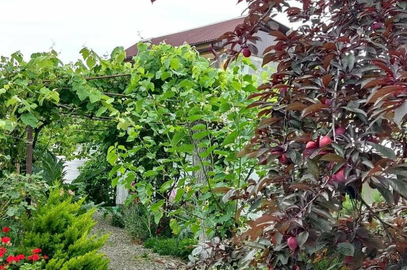 Трёхместный номер «Домик»