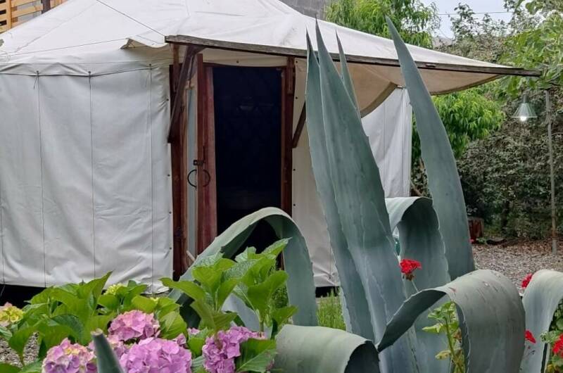 Двухместный номер, стиль «Юрта»