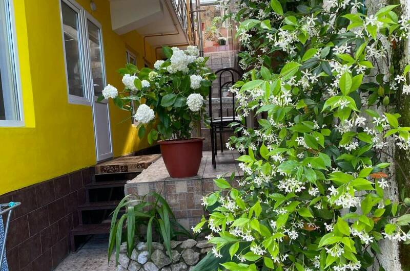 Апартаменты двухкомнатные с кухней