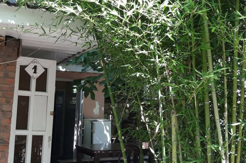 «У бамбука»