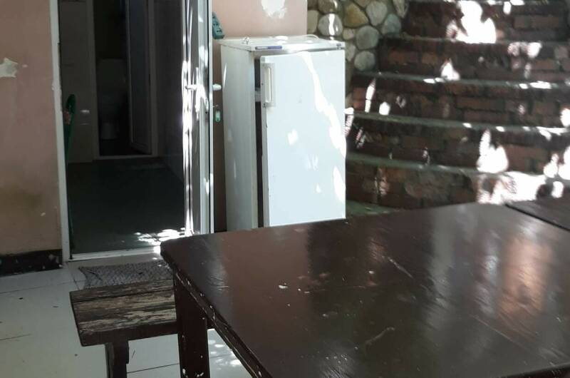 «У бамбука»