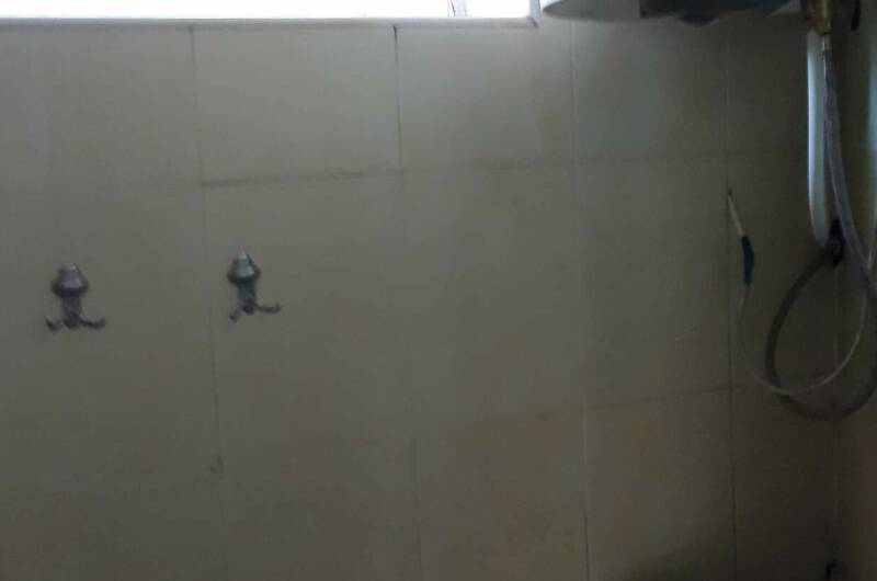 «У бамбука»