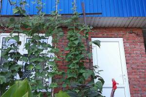 Изображение Изображение гостиницы "Гостевой дом «Дом Солнца»" #3 #3