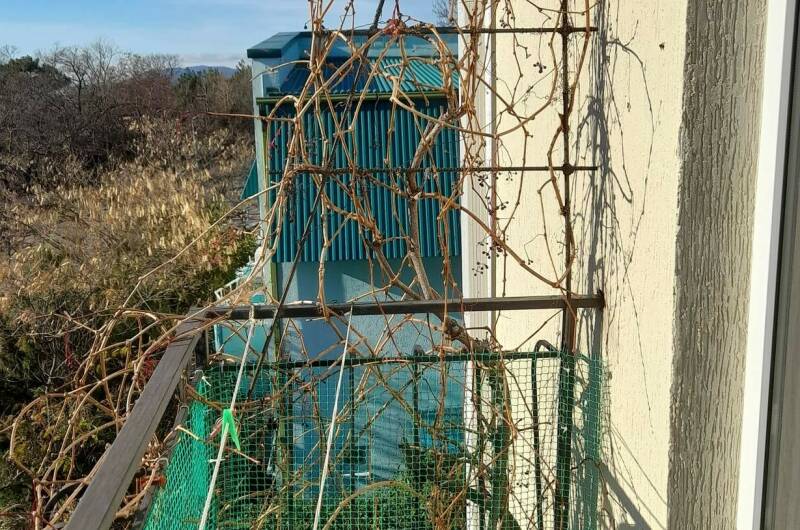 2-х местная комната с балконом