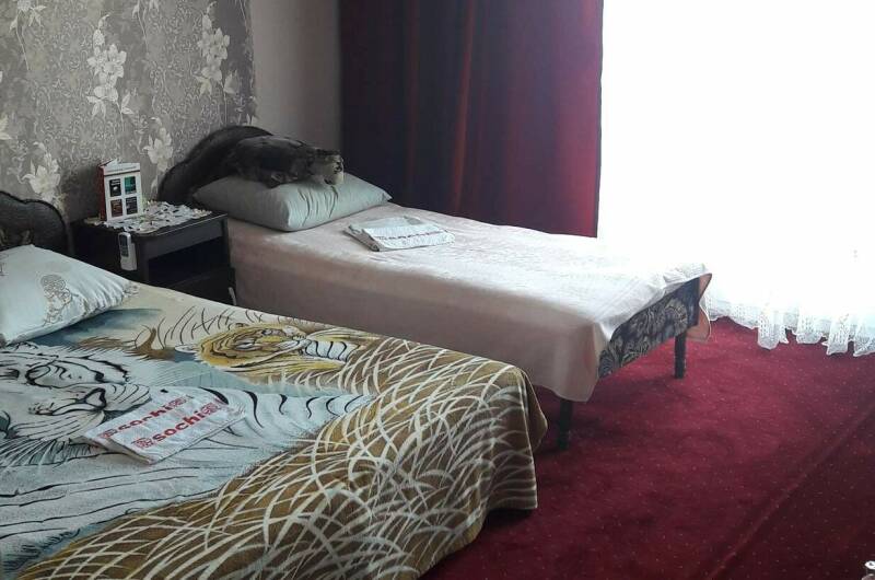 № 2 Трехместный студия (3 этаж)