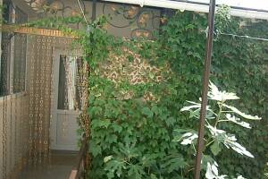 Изображение Изображение гостиницы "Частный сектор «Усадьба»" #4 #4