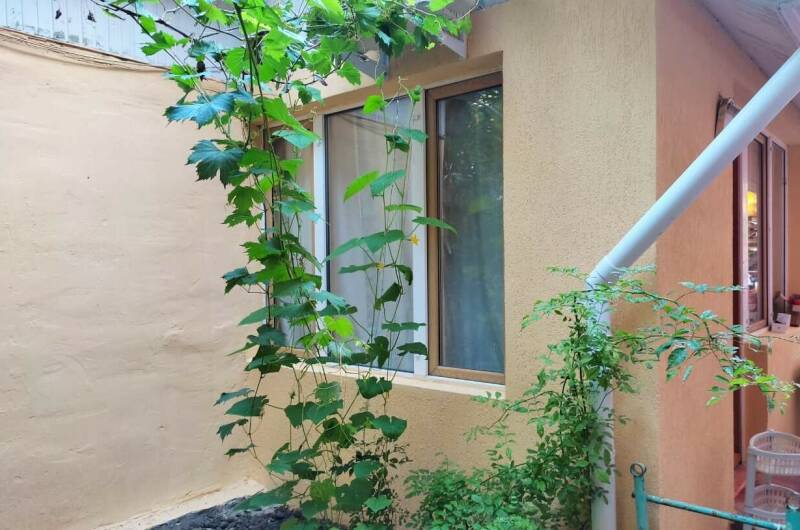 Трехместный домик эконом