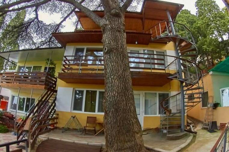 «Под кедром 1»