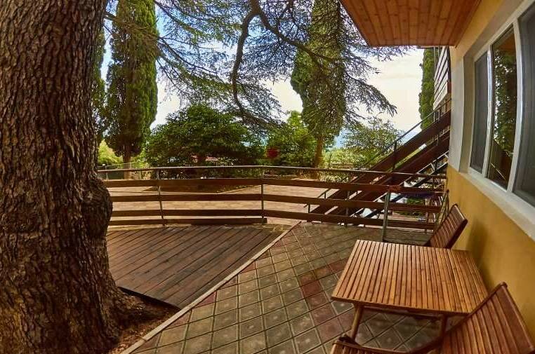 «Под кедром 1»