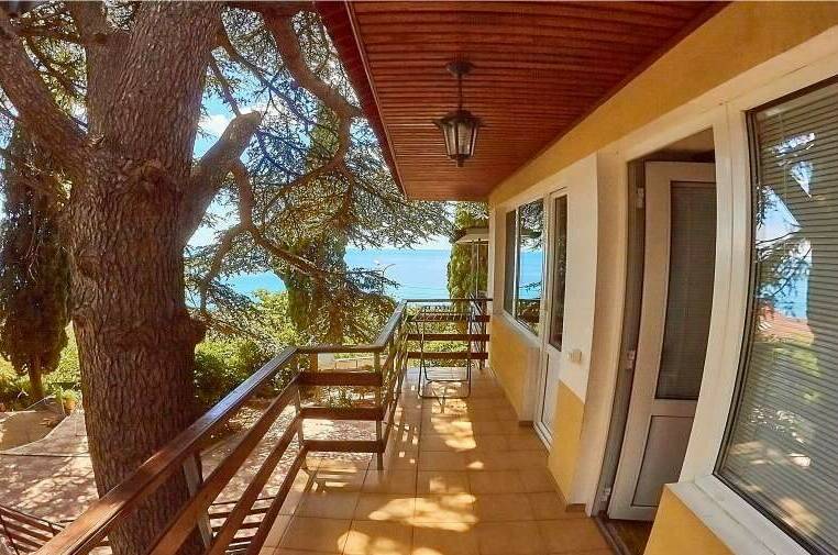 «Под кедром 2»