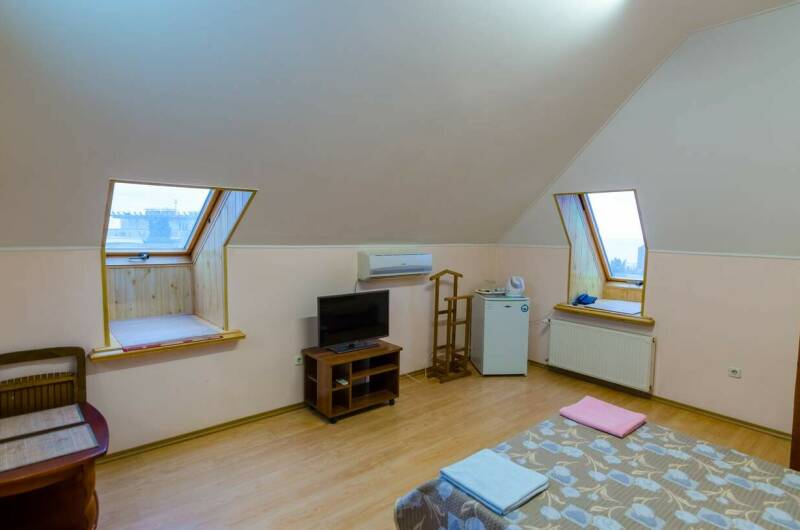 Номер «Мансарда № 9»