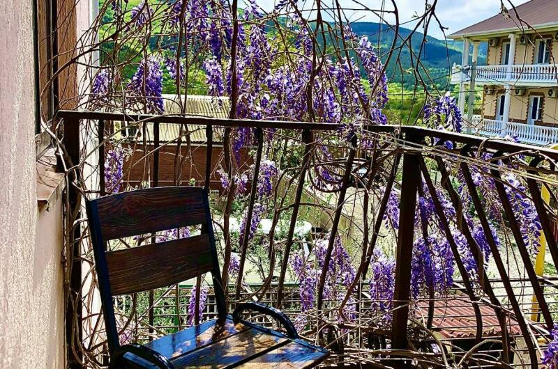 4х-местный стандарт «Тюльпановый Рай»