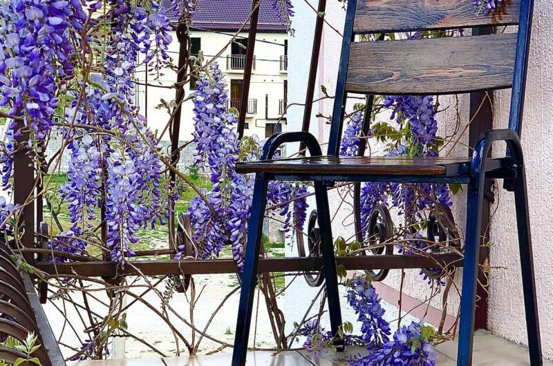 3-х местный Стандарт «Жемчужина»