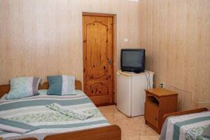 Изображение Изображение гостиницы "Гостевой дом «Пиросмани»" #4 #4