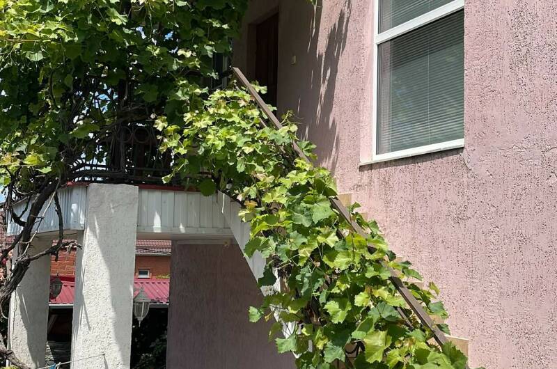 5-ти местный номер студия N1