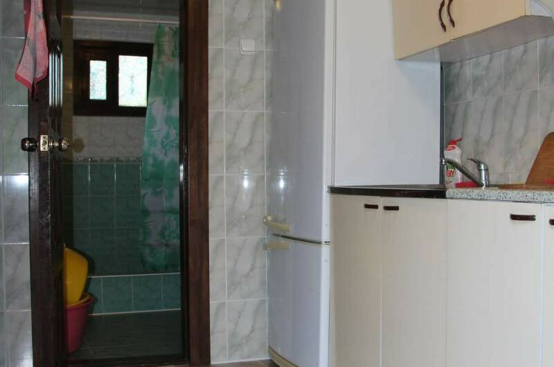 Роза (Полулюкс)