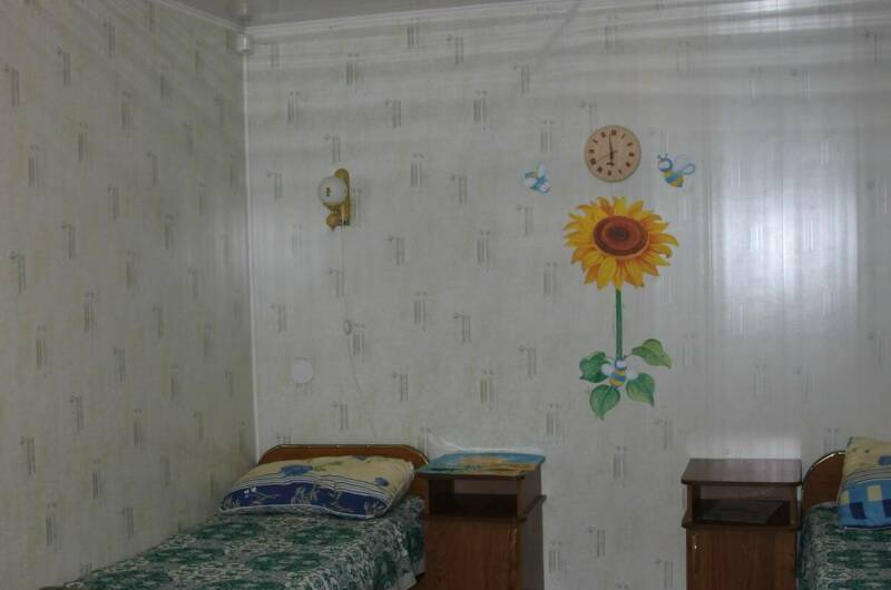 Подсолнух (эконом)