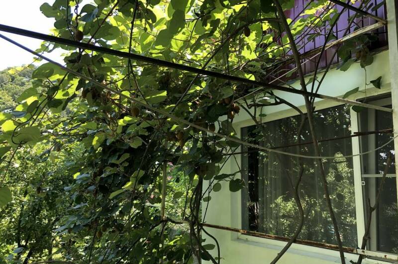 Семейная студия на 1 этаже