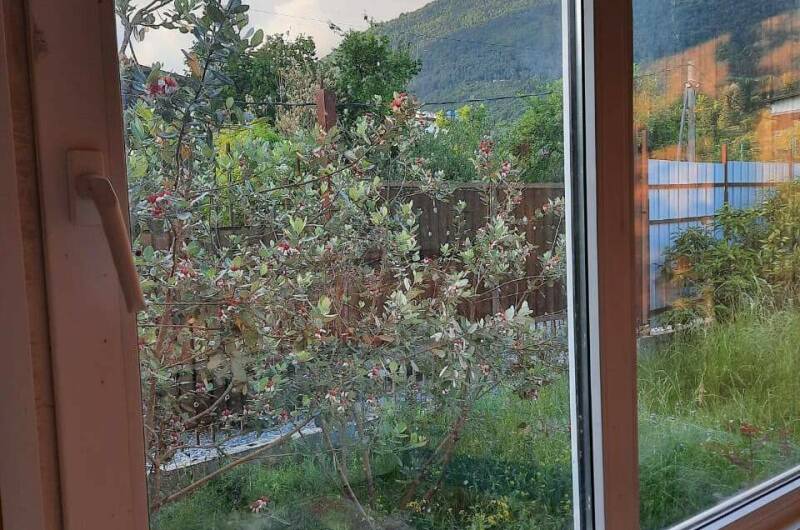 Отдельный деревянный домик