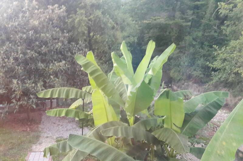 2 -х местный номер «стандарт »