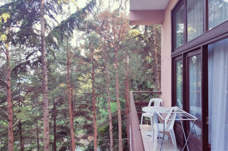 4-х местный «Эконом» (1 корпус, № 102)