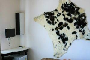 Изображение Изображение гостиницы "Гостевой дом «7up»" #1 #1