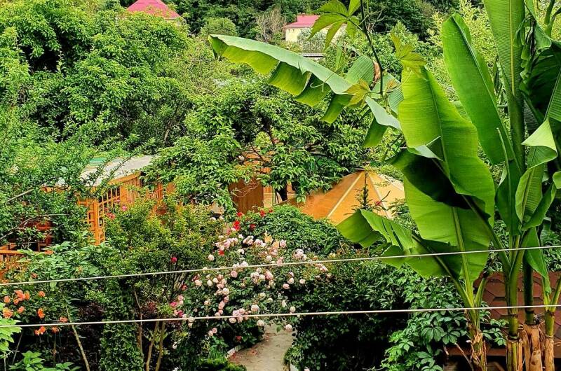 Семейный с кухней 01