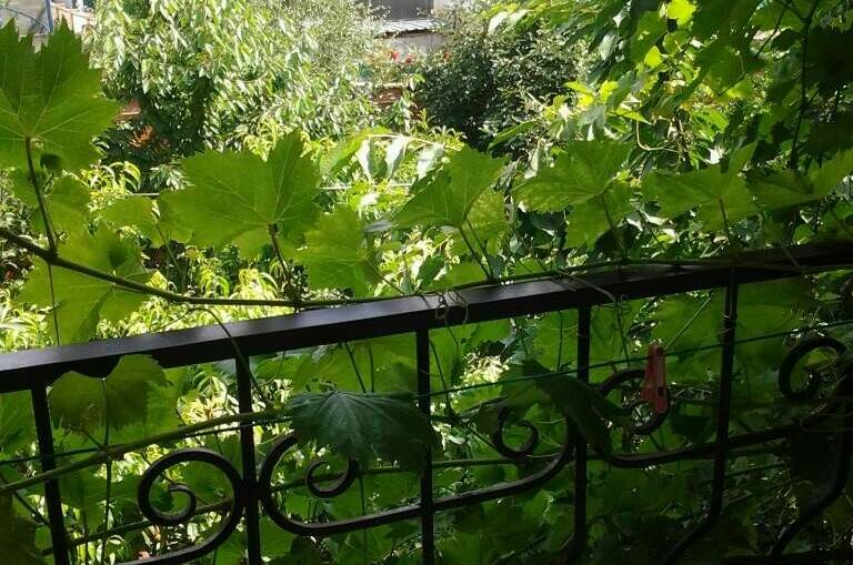 2-х местный стандартный номер