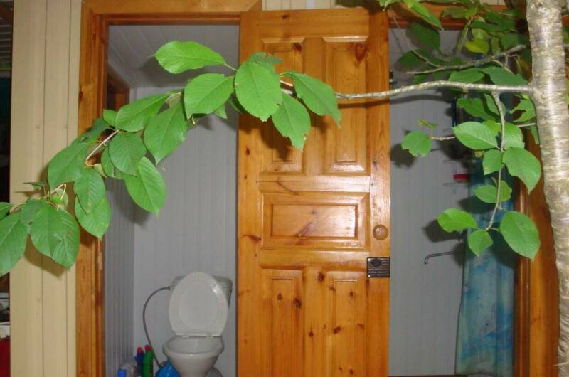 Четырехместный «Эконом» (двор 1)