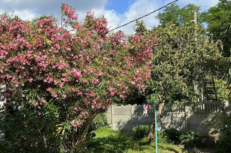 2-х местный «Комфорт»